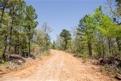 property photo for Eagles Nest Ranch Tract 11, 10.83 acres for sale in Pushmataha County, Oklahoma