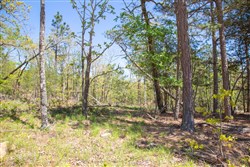 property photo for Eagles Nest Ranch Tract 11, 10.83 acres for sale in Pushmataha County, Oklahoma