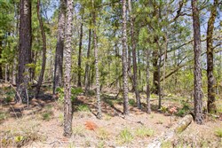 property photo for Eagles Nest Ranch Tract 11, 10.83 acres for sale in Pushmataha County, Oklahoma
