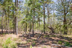 property photo for Eagles Nest Ranch Tract 11, 10.83 acres for sale in Pushmataha County, Oklahoma