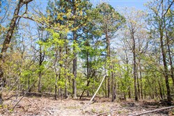 property photo for Eagles Nest Ranch Tract 11, 10.83 acres for sale in Pushmataha County, Oklahoma
