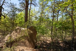 property photo for Eagles Nest Ranch Tract 12, 7.51 acres for sale in Pushmataha County, Oklahoma