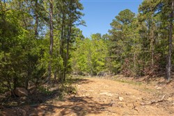 property photo for Eagles Nest Ranch Tract 12, 7.51 acres for sale in Pushmataha County, Oklahoma