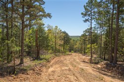 property photo for Eagles Nest Ranch Tract 13, 13.19 acres for sale in Pushmataha County, Oklahoma