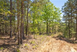 property photo for Eagles Nest Ranch Tract 13, 13.19 acres for sale in Pushmataha County, Oklahoma