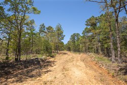 property photo for Eagles Nest Ranch Tract 13, 13.19 acres for sale in Pushmataha County, Oklahoma
