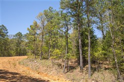 property photo for Eagles Nest Ranch Tract 13, 13.19 acres for sale in Pushmataha County, Oklahoma