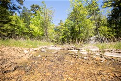 property photo for Eagles Nest Ranch Tract 13, 13.19 acres for sale in Pushmataha County, Oklahoma