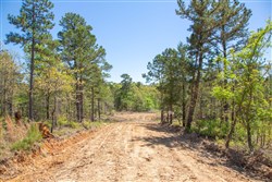 property photo for Eagles Nest Ranch Tract 14, 9.42 acres for sale in Pushmataha County, Oklahoma