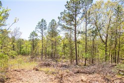 property photo for Eagles Nest Ranch Tract 14, 9.42 acres for sale in Pushmataha County, Oklahoma