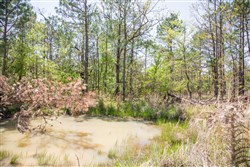 property photo for Eagles Nest Ranch Tract 14, 9.42 acres for sale in Pushmataha County, Oklahoma