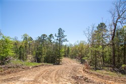 property photo for Eagles Nest Ranch Tract 14, 9.42 acres for sale in Pushmataha County, Oklahoma