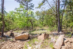 property photo for Eagles Nest Ranch Tract 14, 9.42 acres for sale in Pushmataha County, Oklahoma