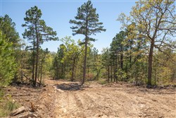 Eagles Nest Ranch Tract 15