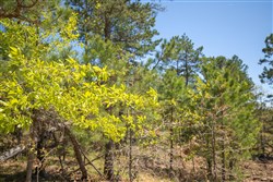 Eagles Nest Ranch Tract 15