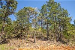 Eagles Nest Ranch Tract 15