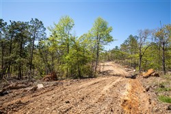 property photo for Eagles Nest Ranch Tract 16, 8.11 acres for sale in Pushmataha County, Oklahoma
