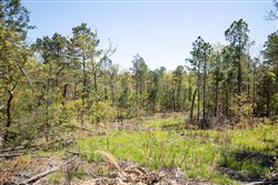 property photo for Eagles Nest Ranch Tract 16, 8.11 acres for sale in Pushmataha County, Oklahoma