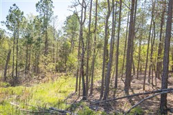 property photo for Eagles Nest Ranch Tract 16, 8.11 acres for sale in Pushmataha County, Oklahoma