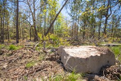 property photo for Eagles Nest Ranch Tract 16, 8.11 acres for sale in Pushmataha County, Oklahoma