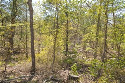 property photo for Eagles Nest Ranch Tract 16, 8.11 acres for sale in Pushmataha County, Oklahoma