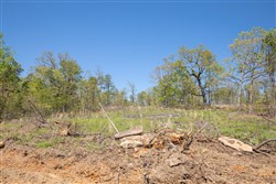 property photo for Eagles Nest Ranch Tract 16, 8.11 acres for sale in Pushmataha County, Oklahoma