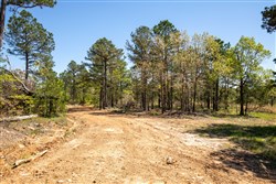 property photo for Eagles Nest Ranch Tract 17, 8.44 acres for sale in Pushmataha County, Oklahoma