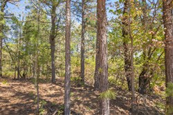 property photo for Eagles Nest Ranch Tract 17, 8.44 acres for sale in Pushmataha County, Oklahoma