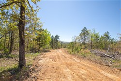 property photo for Eagles Nest Ranch Tract 17, 8.44 acres for sale in Pushmataha County, Oklahoma