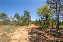property photo for Eagles Nest Ranch Tract 17, 8.44 acres for sale in Pushmataha County, Oklahoma