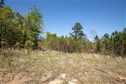 property photo for Eagles Nest Ranch Tract 17, 8.44 acres for sale in Pushmataha County, Oklahoma