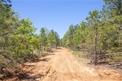 property photo for Eagles Nest Ranch Tract 18, 10.29 acres for sale in Pushmataha County, Oklahoma
