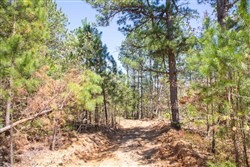 property photo for Eagles Nest Ranch Tract 18, 10.29 acres for sale in Pushmataha County, Oklahoma