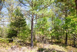 property photo for Eagles Nest Ranch Tract 18, 10.29 acres for sale in Pushmataha County, Oklahoma