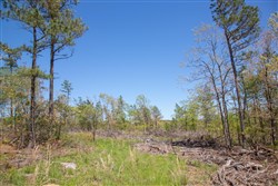 property photo for Eagles Nest Ranch Tract 18, 10.29 acres for sale in Pushmataha County, Oklahoma