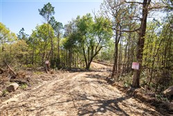property photo for Eagles Nest Ranch Tract 19, 7.66 acres for sale in Pushmataha County, Oklahoma