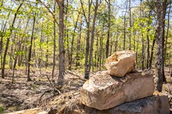 property photo for Eagles Nest Ranch Tract 19, 7.66 acres for sale in Pushmataha County, Oklahoma