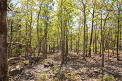 property photo for Eagles Nest Ranch Tract 19, 7.66 acres for sale in Pushmataha County, Oklahoma