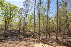 property photo for Eagles Nest Ranch Tract 19, 7.66 acres for sale in Pushmataha County, Oklahoma