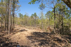property photo for Eagles Nest Ranch Tract 19, 7.66 acres for sale in Pushmataha County, Oklahoma
