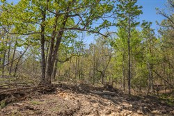 property photo for Eagles Nest Ranch Tract 19, 7.66 acres for sale in Pushmataha County, Oklahoma