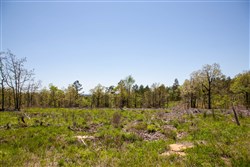property photo for Eagles Nest Ranch Tract 2, 5.95 acres for sale in Pushmataha County, Oklahoma