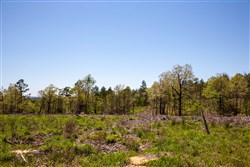 property photo for Eagles Nest Ranch Tract 2, 5.95 acres for sale in Pushmataha County, Oklahoma