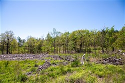 property photo for Eagles Nest Ranch Tract 2, 5.95 acres for sale in Pushmataha County, Oklahoma