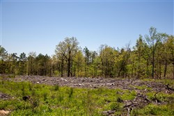 property photo for Eagles Nest Ranch Tract 2, 5.95 acres for sale in Pushmataha County, Oklahoma