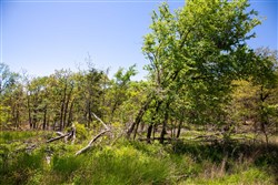 property photo for Eagles Nest Ranch Tract 2, 5.95 acres for sale in Pushmataha County, Oklahoma