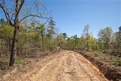 property photo for Eagles Nest Ranch Tract 20, 10.69 acres for sale in Pushmataha County, Oklahoma