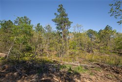 property photo for Eagles Nest Ranch Tract 20, 10.69 acres for sale in Pushmataha County, Oklahoma