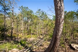 property photo for Eagles Nest Ranch Tract 20, 10.69 acres for sale in Pushmataha County, Oklahoma