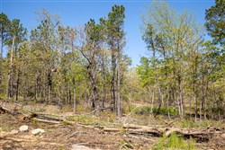property photo for Eagles Nest Ranch Tract 20, 10.69 acres for sale in Pushmataha County, Oklahoma